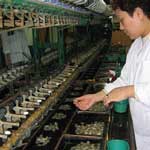 silkworms soaking in hot water to separate cocoon from fiber to make silk