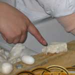 silk fiber used to make silk